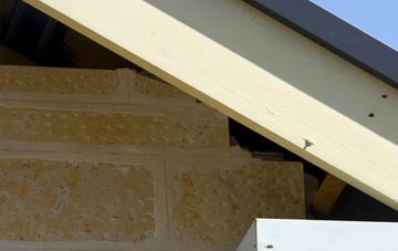 soffit repair Alkrington Garden Village