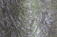 Alkrington Garden Village fibreglass roof work