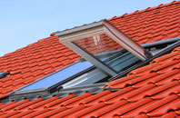 Alkrington Garden Village roof window